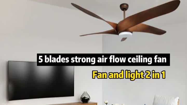 Ventilateur de plafond ABS 60 pouces