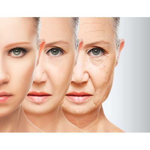 What are the types of functional ingredients for anti-aging cosmetics?