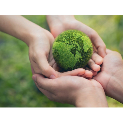 ตลาดเส้นใยเคมีทั่วโลกปี 2026: การปรับโครงสร้างที่ขับเคลื่อนโดยการเปลี่ยนผ่านสีเขียว นวัตกรรมทางเทคโนโลยี และนโยบายต่อต้านการมีส่วนร่วม