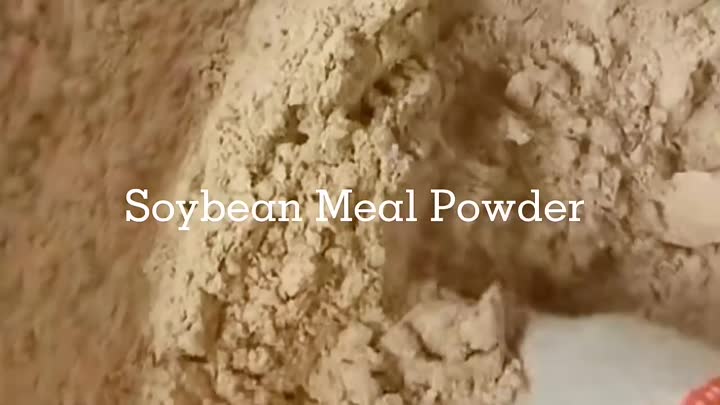 Soybean Protein Powder 45%