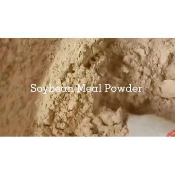 Soybean Protein Powder 45%