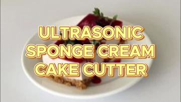 YM-1000 Sponge cake