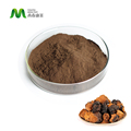 OEM SALVAJE SIBERIANO CHAGA EXTRACTO de Chaga Hongo Wildchated Chaga gomba micélium -kivonat POW POWT NUTRITITIONAL1