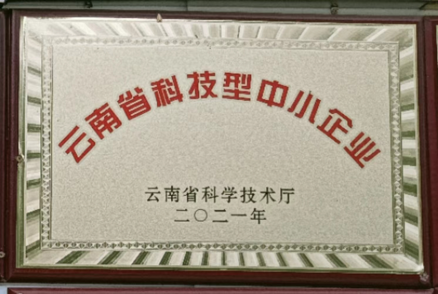 Small and medium-sized technology-based enterprises in Yunnan Province