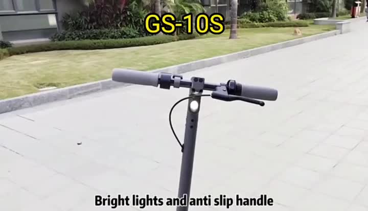 GS-10S 10inch Two Wheels Electric Scooter