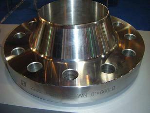 SS WN flanges