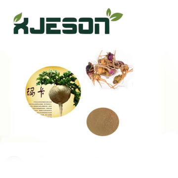 Asia's Top 10 Mushrooms Extract Brand List