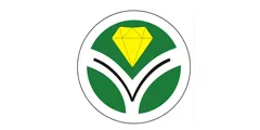 YALONG DIAMOND