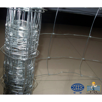 Top 10 China Sheep Wire Mesh Fence Manufacturers