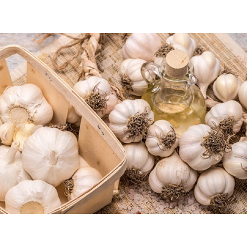 تنمو صناعة الثوم العالمية بشكل مطرد مدفوعة بالطلب على المنتجات الصحية والتقدم التكنولوجي في عام 2026