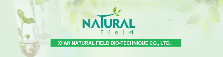 Натуральный порошок из корнеплодов Natural Field для окрашивания и здорового питания