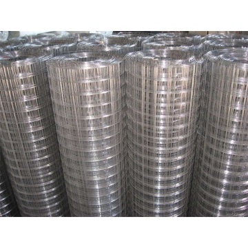 Ten Chinese Stainless Steel Mesh Suppliers Popular in European and American Countries