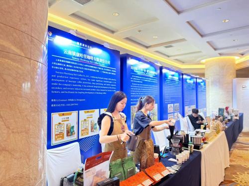 Hali Coffee presenta el café especial de Yunnan en el 17º Foro Empresarial China-Asia del Sur