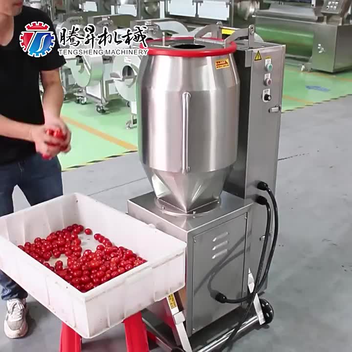 Máquina trituradora de tomate industrial e comercial TS-GZ50L