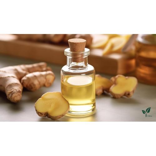 Organic natural oils Ginger oil 
