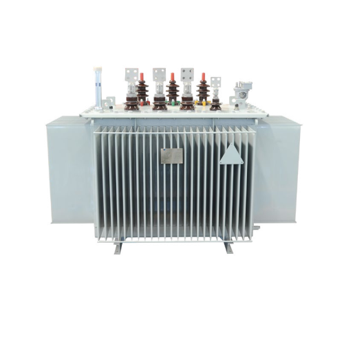 The S13-M-800 20KV distribution transformer contributes to the upgrade of regional power supply security.