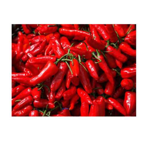 Capsaicina: desatando los beneficios para la salud de este ingrediente picante