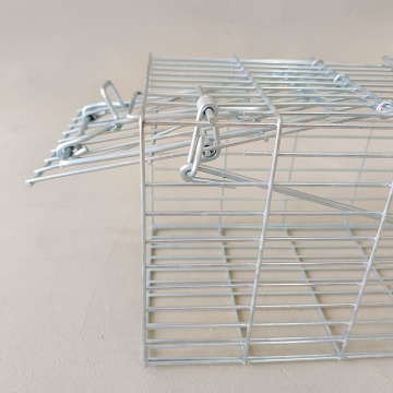 Ten Chinese Living Catch Mouse Traps Suppliers Popular in European and American Countries