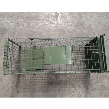 Asia's Top 10 Pet Cages Brand List