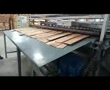 24M 1Deck Veneer Dryer in Brazil Site