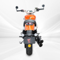 Vente en gros à haute vitesse Premium 250cc à l&#39;essence Scooter Double Disc frein1