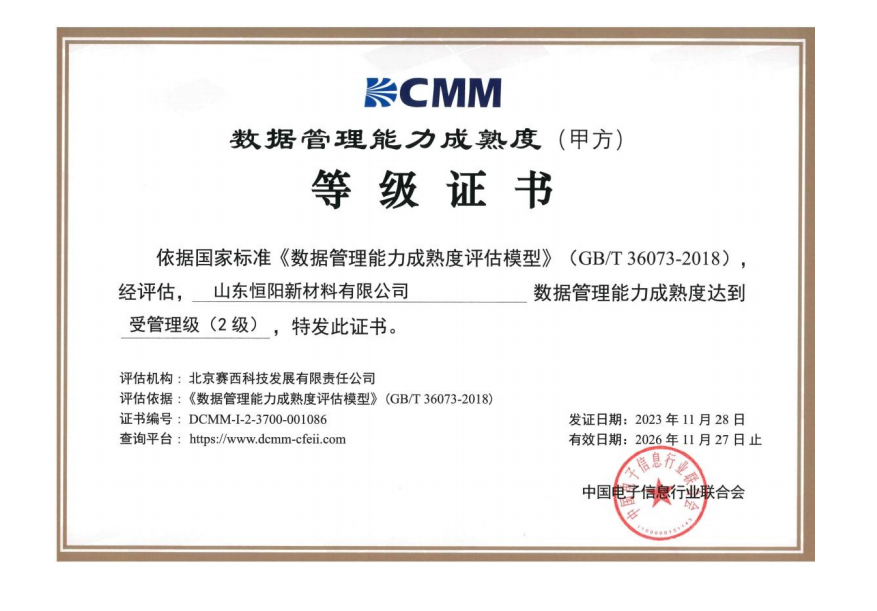 Data Management Capability Maturity (Party A) Level Certificate