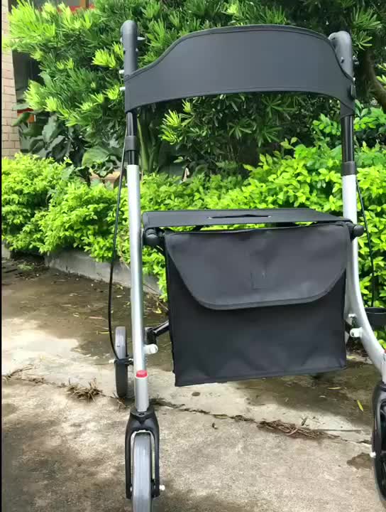 Utmärkt populärt mobilitetshjälp Rollator Walker för funktionshindrad vuxen tonia tra111