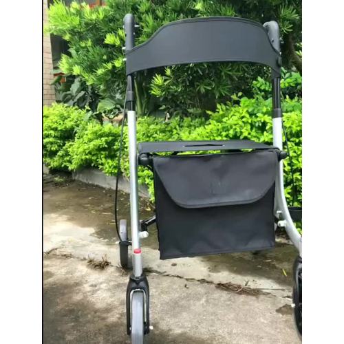 Excellent Popular Mobility aid  Rollator Walker for disabled adult TONIA TRA111