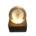 Touch-Controlled Rechargeable Water Globe with Color-Changing Lights1