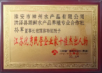 Top 10 Outstanding Figures of Outstanding Private Entrepreneurs in Jiangsu