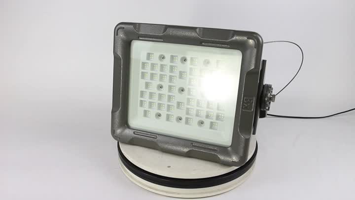 Explosion proof light-8260-200W