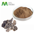 Organic Coriolus versicolor gombás kivonat Lyphar por1