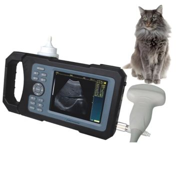 Top 10 Most Popular Chinese Animal Ultrasound Scanner Brands