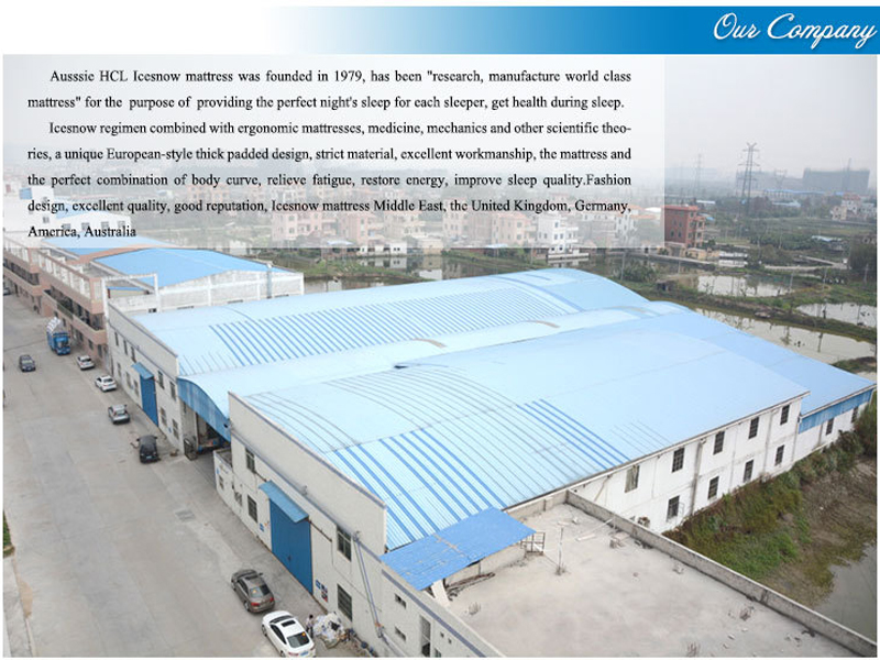 Foshan Aussie Hcl Furniture Co., Ltd.