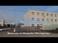 Hengshui Shengyong Heavy-duty Machine Tool Manufacturing Co., Ltd.