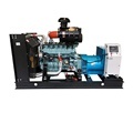 200KW CE ISO Certified Durable Natural Gas Generator1