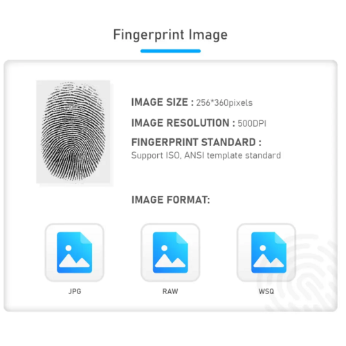 Die Fingerabdruck -Scanner -Technologie hat immer etwas Einzigartiges