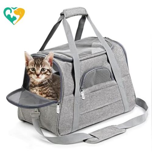 pet carrier purse