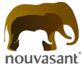 NOUVASANT GROUP LTD.