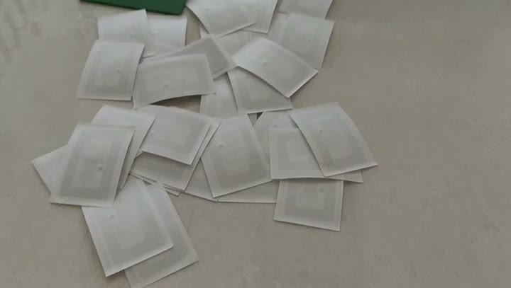 Leibinger RFID Чипсы