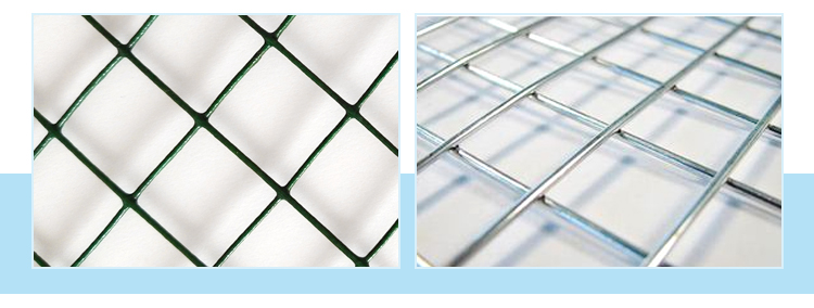 Wholesale galvanized welded wire mesh panel for bird cages