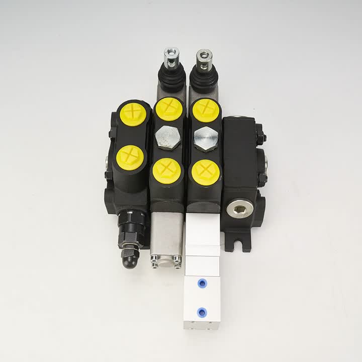 Vanne directionnelle pneumatique multidirectionnelle manuelle DCV100