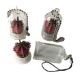 Cute Live Cactus Succulent Keychain - 2024 Mini Hot Sales1