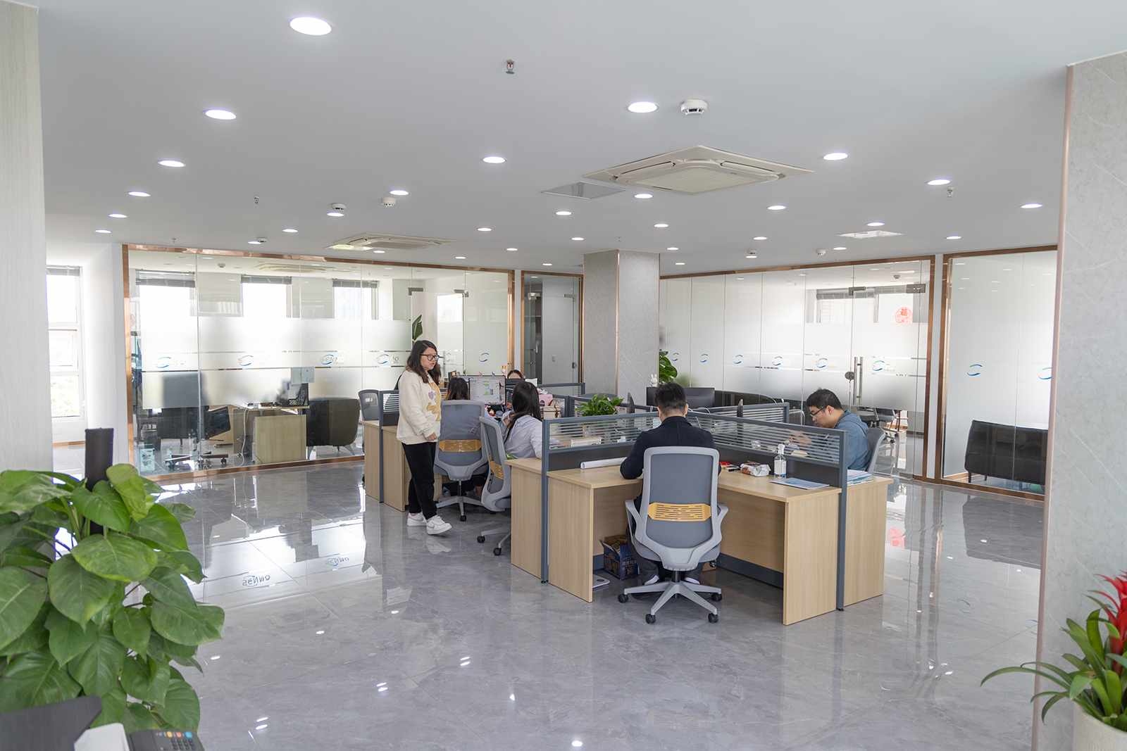 Shanghai Shengduan Trading Co., Ltd.