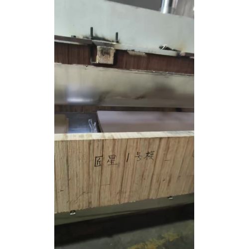 production de bois courbé 11