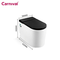 One Piece Siphonic Ceramic Bathroom Intelligent Automatic Toilet1