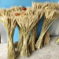 Real Wheat Ear Flower Decoration Natural Pampas Rabbit Tail Grass Dried Flowers For Wedding Party DIY Craft Scrapbook Bouquet