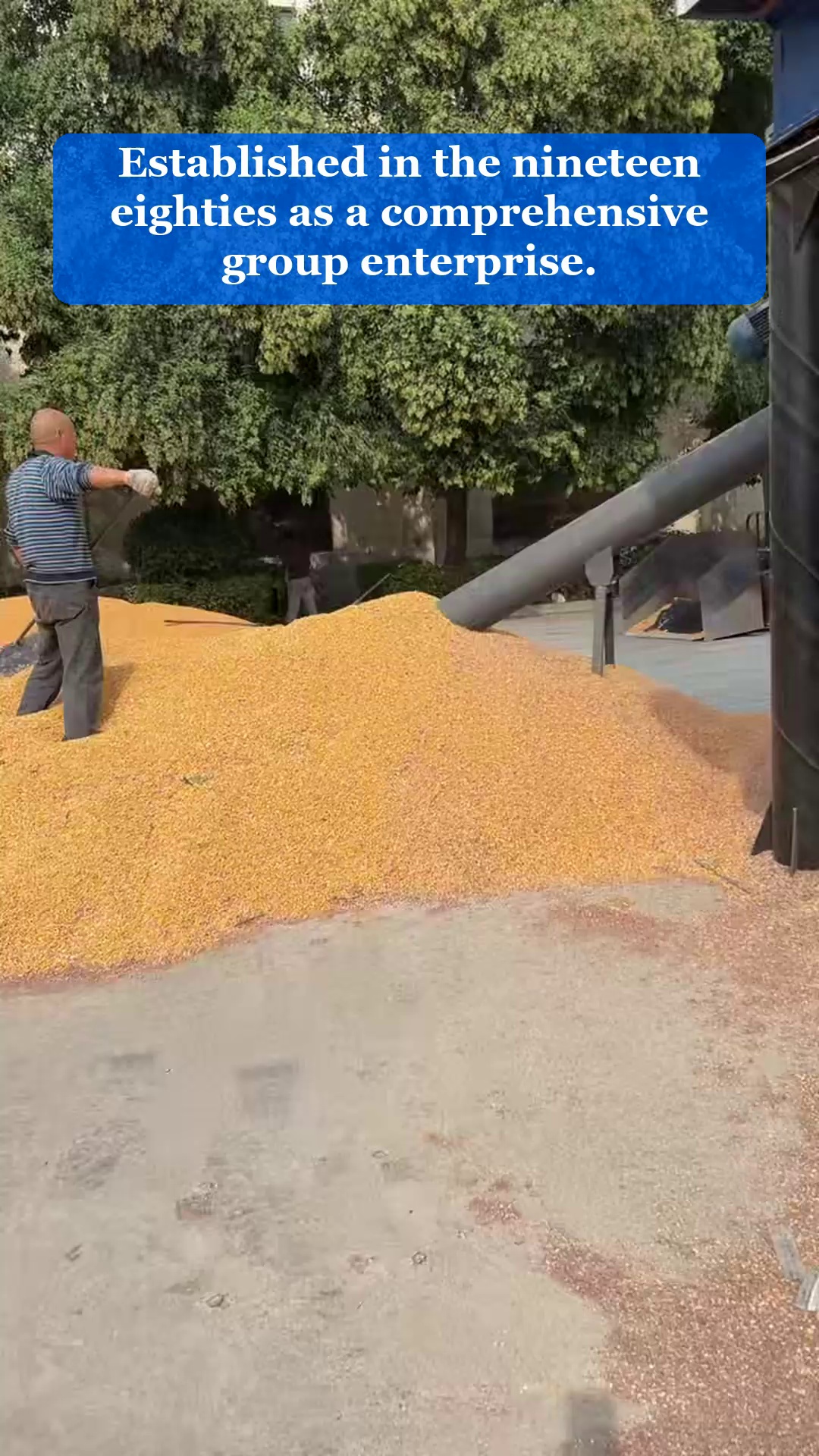 Vidéo 39