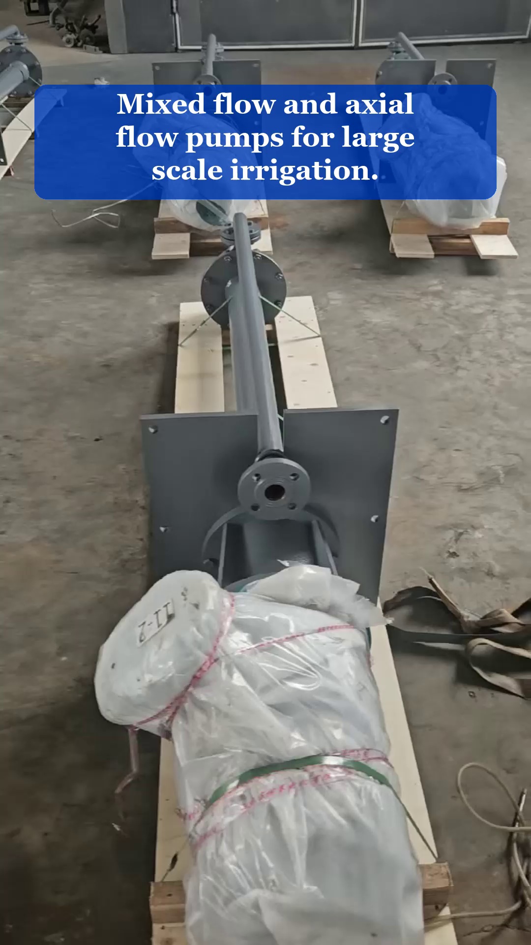Video 1