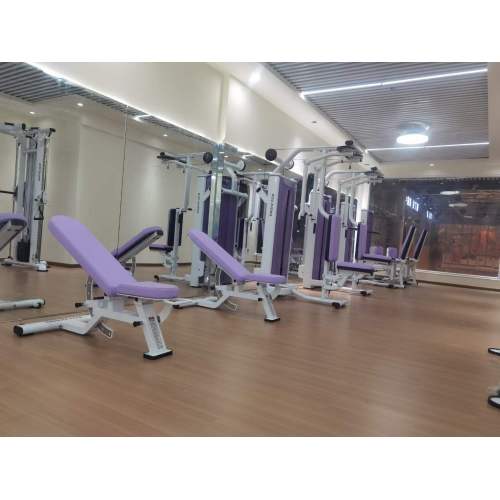 Indian customers come to Chinese fitness equipment manufacturers to purchase gym sports equipment.